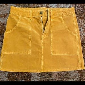 AE Corduroy Skirt